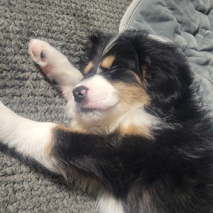 Fundraising Page: Maui Rissler